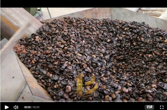 环保花季APP下载安装炭化处理腰果外壳增加经济效益